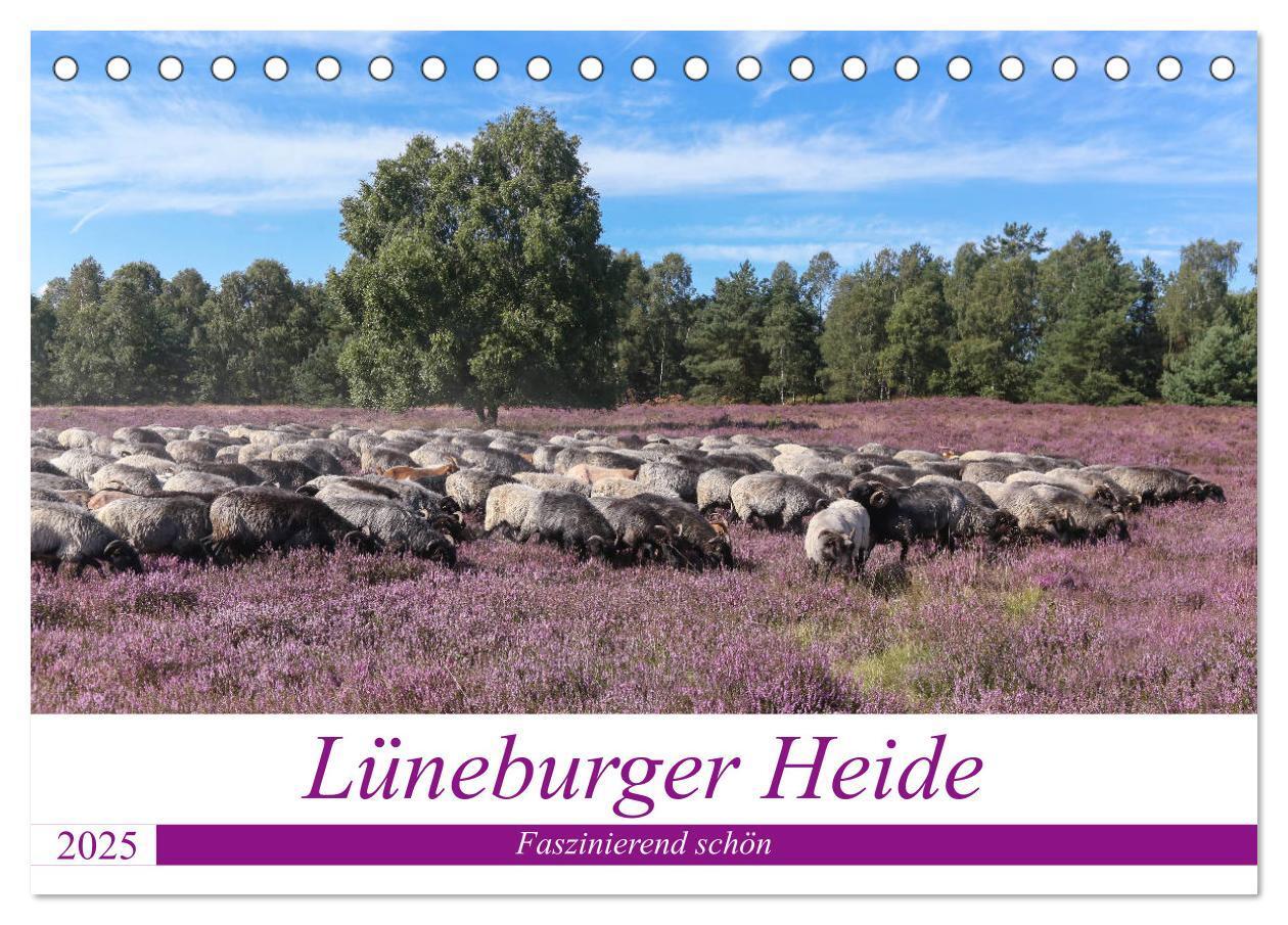 Cover: 9783435457632 | Lüneburger Heide - Faszinierend schön (Tischkalender 2025 DIN A5...