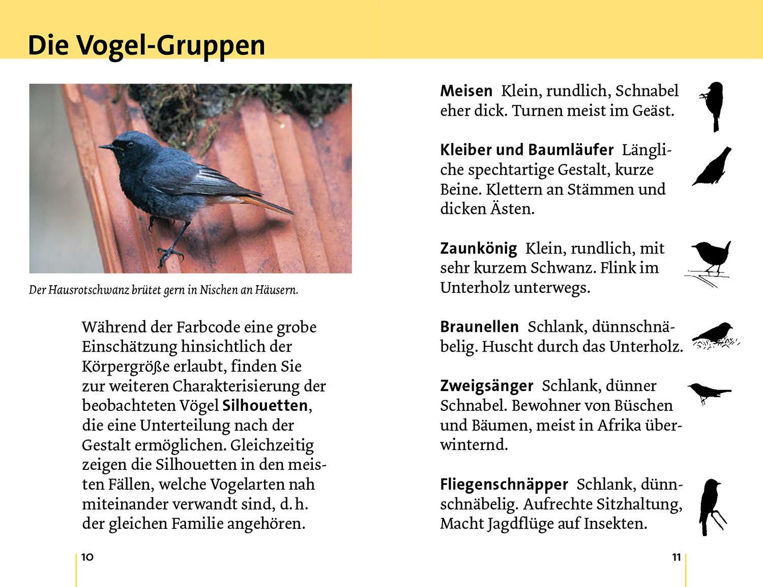 Bild: 9783440178997 | Alle Vögel sind schon da | Volker Dierschke | Taschenbuch | 128 S.