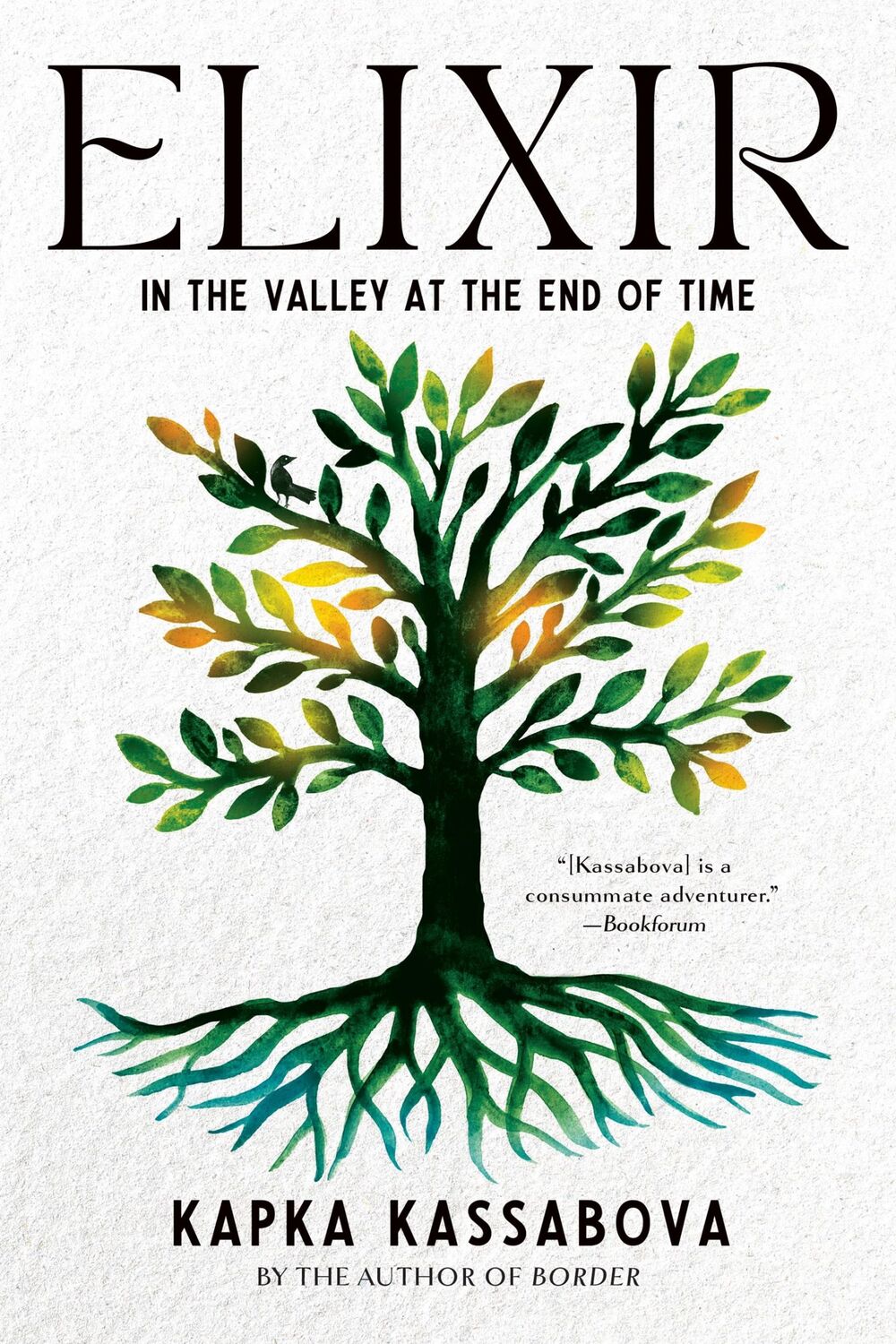 Cover: 9781644452332 | Elixir | In the Valley at the End of Time | Kapka Kassabova | Buch