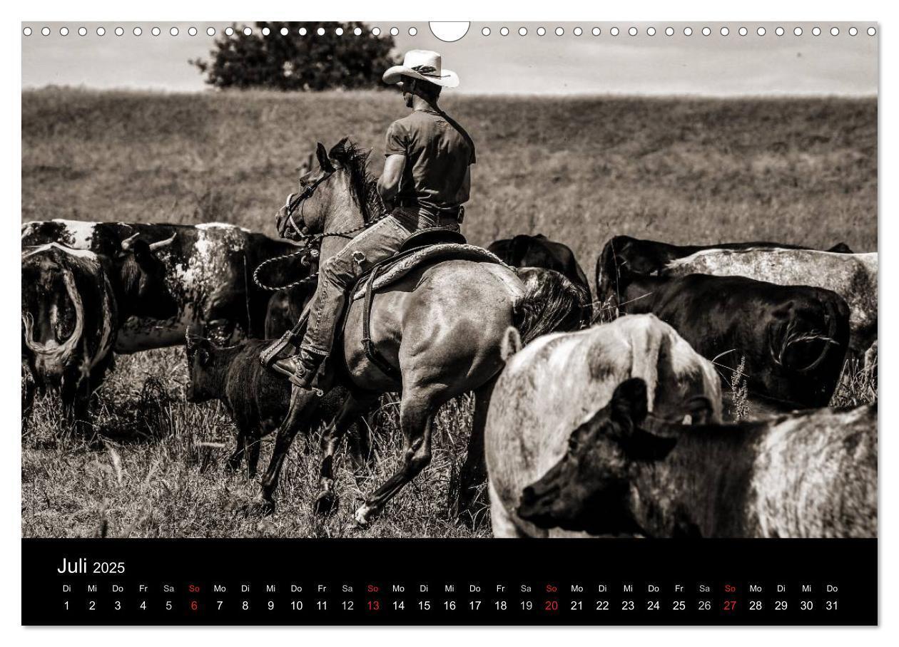 Bild: 9783435569656 | Westernreiten (Wandkalender 2025 DIN A3 quer), CALVENDO Monatskalender