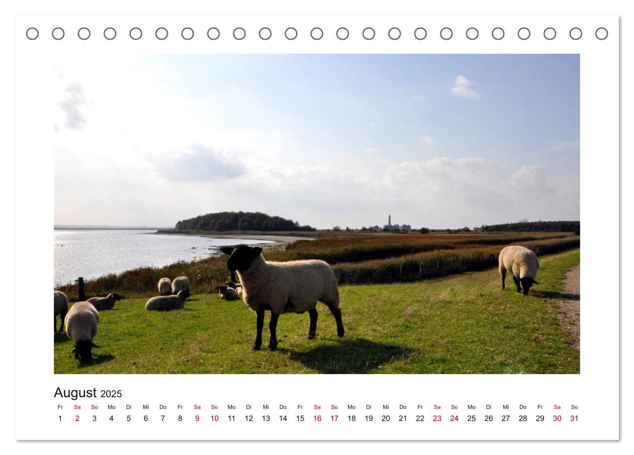 Bild: 9783435432523 | Fehmarn - Bewegende Momente (Tischkalender 2025 DIN A5 quer),...