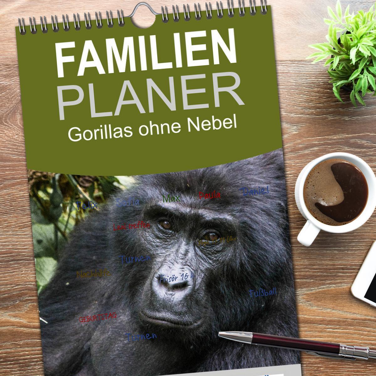 Bild: 9783457107904 | Familienplaner 2025 - Gorillas ohne Nebel mit 5 Spalten...