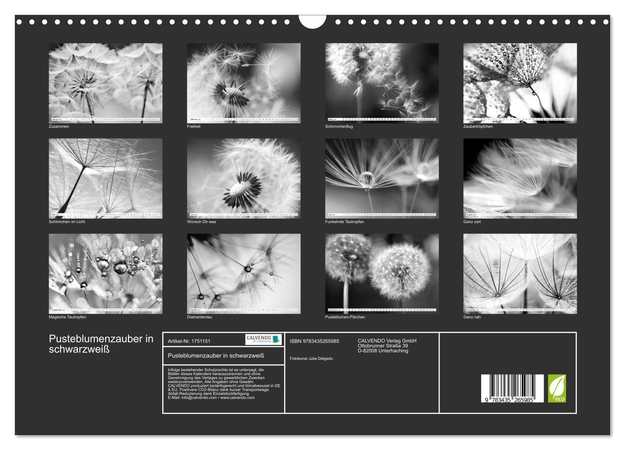 Bild: 9783435265985 | Pusteblumenzauber in schwarzweiß (Wandkalender 2025 DIN A3 quer),...