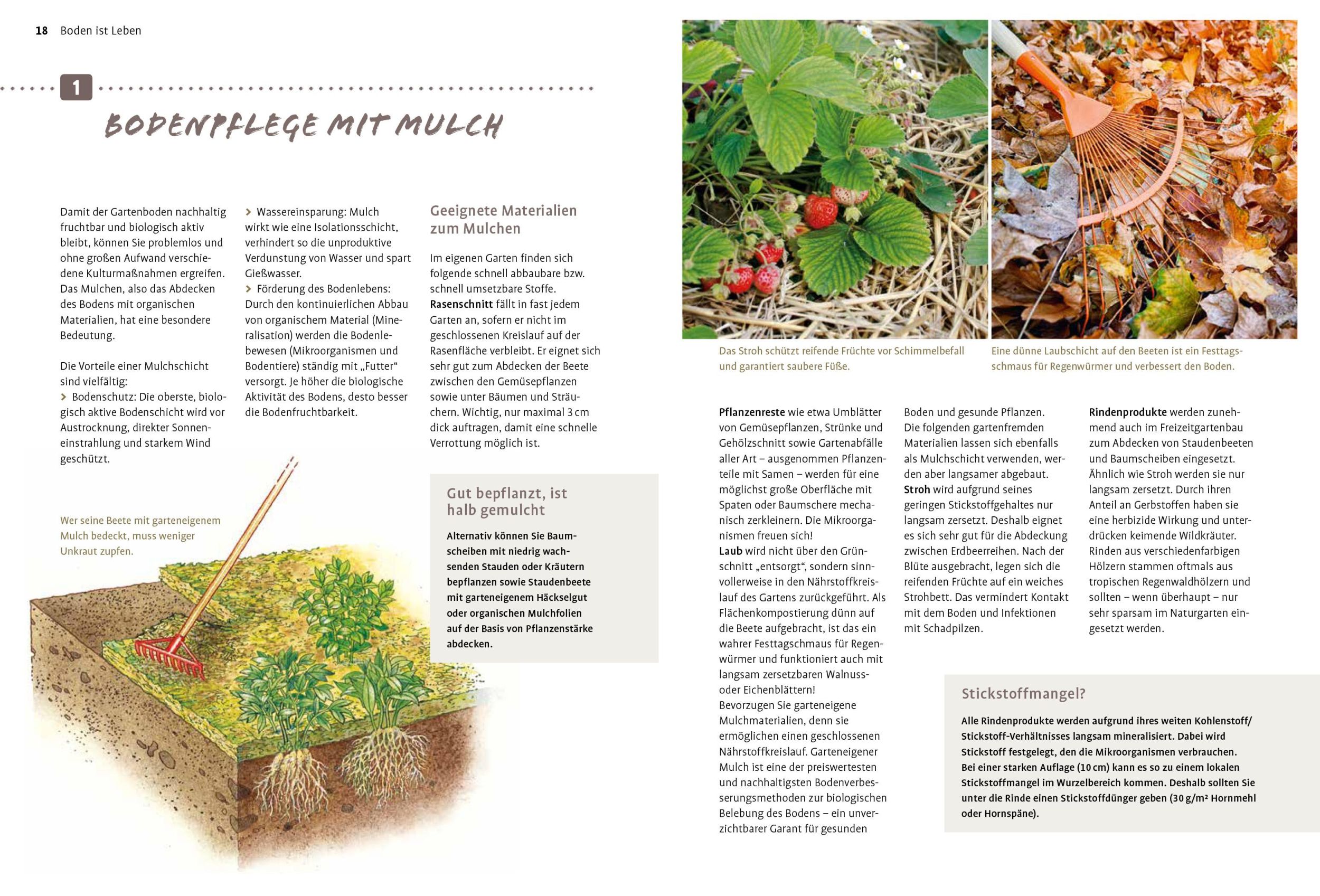 Bild: 9783818615024 | Naturgarten ganz einfach | Heike Boomgaarden (u. a.) | Buch | 144 S.