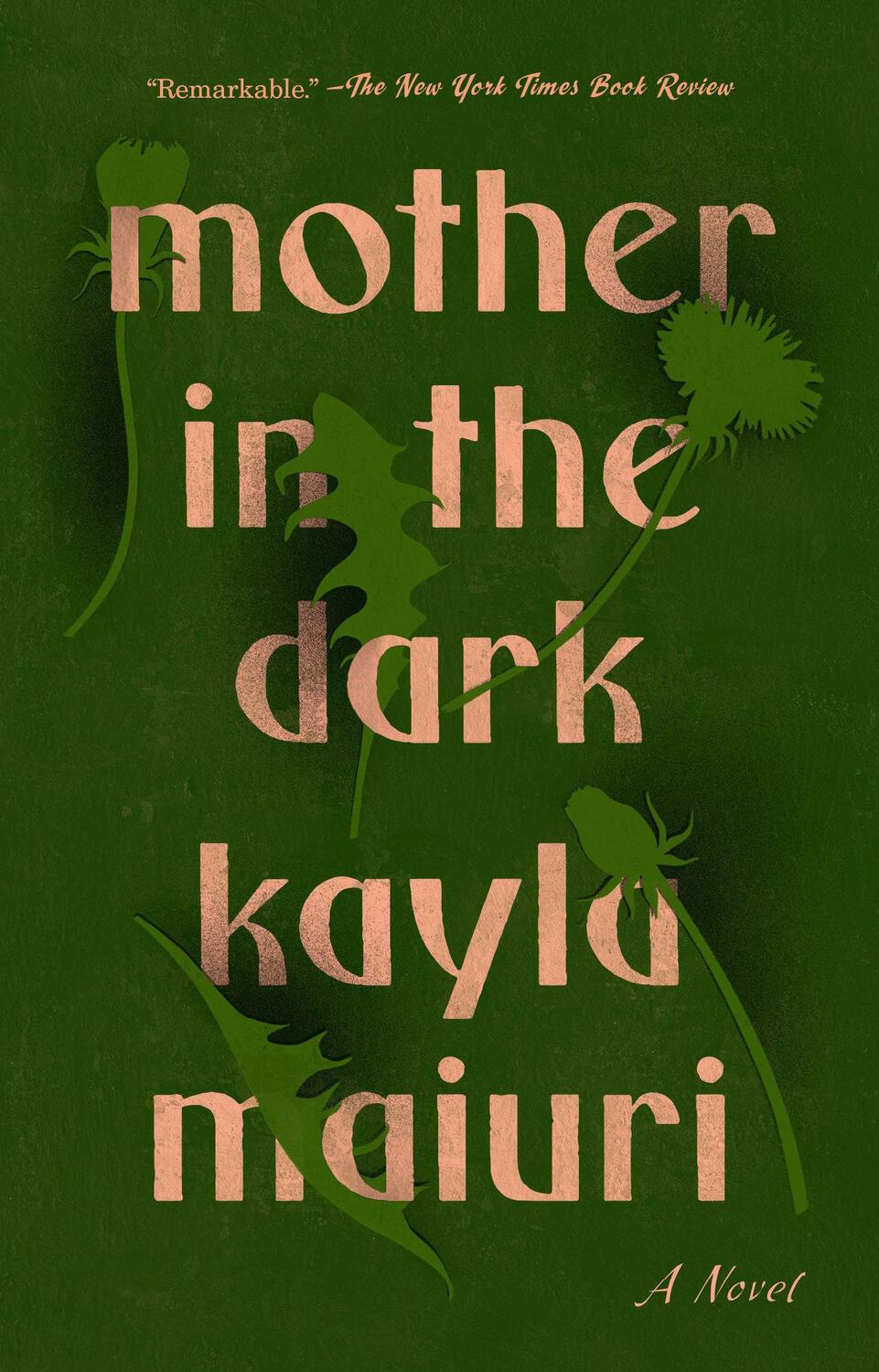 Cover: 9780593083291 | Mother In the Dark | Kayla Maiuri | Taschenbuch | Englisch | 2023