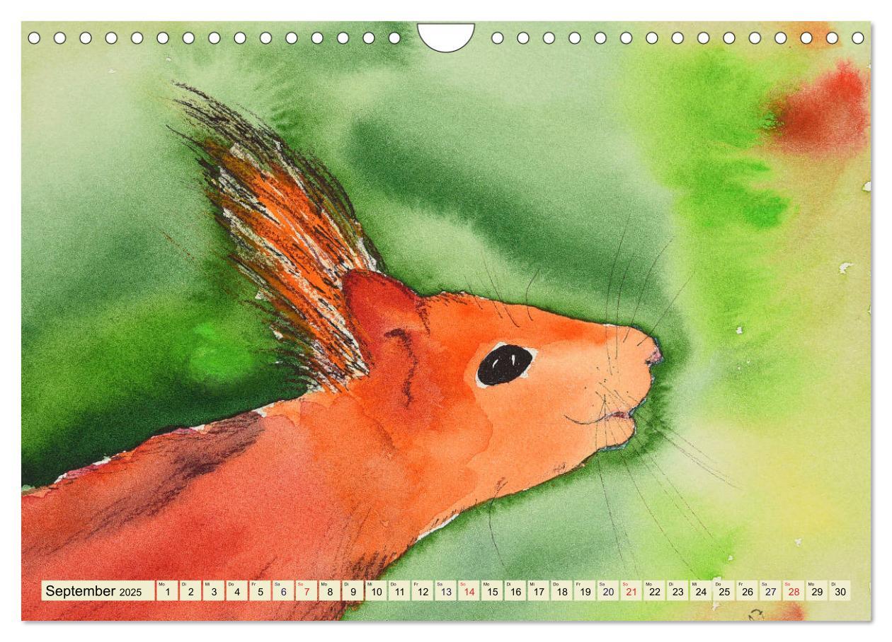 Bild: 9783435415663 | Eichhörnchen in Aquarell (Wandkalender 2025 DIN A4 quer), CALVENDO...