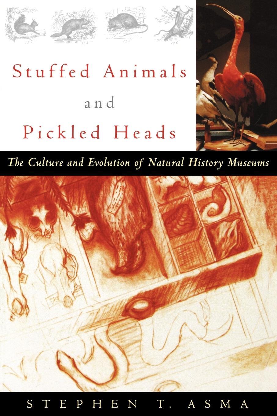 Cover: 9780195163360 | Stuffed Animals and Pickled Heads | Stephen T. Asma | Taschenbuch