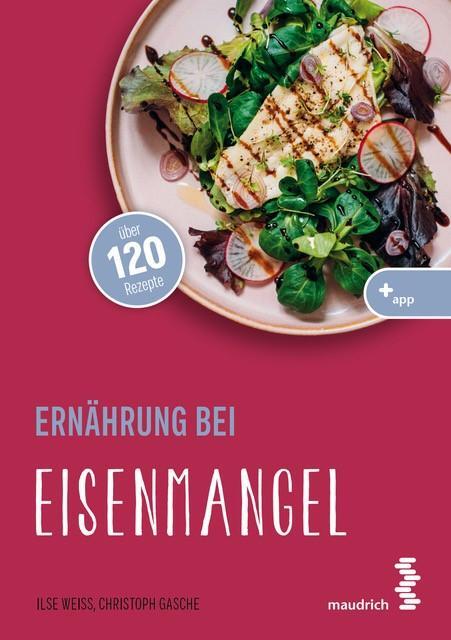 Cover: 9783990021613 | Ernährung bei Eisenmangel | Ilse Weiß (u. a.) | Taschenbuch | 152 S.
