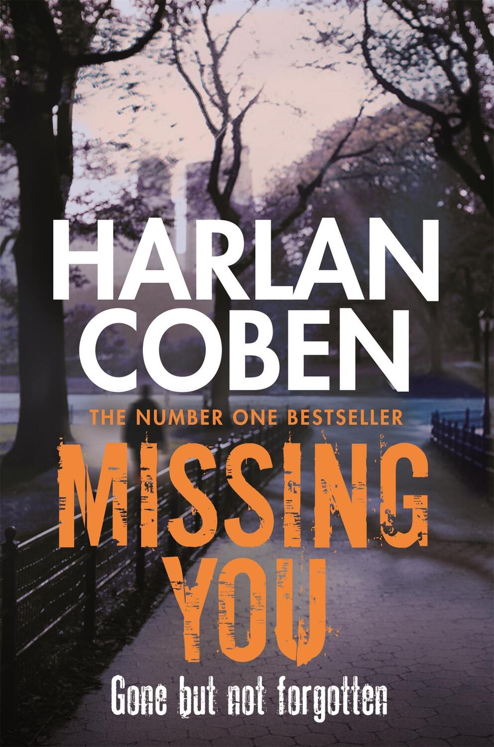 Cover: 9781409103967 | Missing You | Harlan Coben | Taschenbuch | Kartoniert / Broschiert