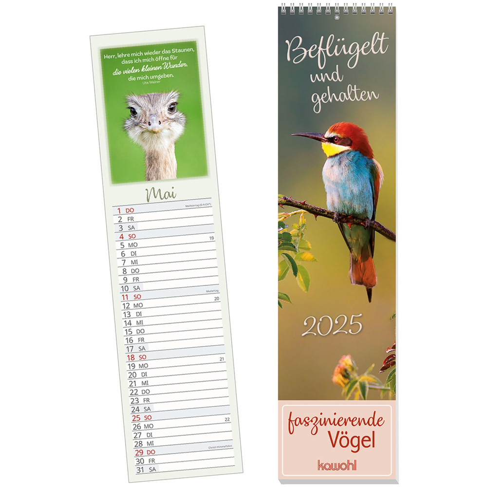 Cover: 9783754866757 | Beflügelt und gehalten 2025 | Faszinierende Vögel | Kalender | 15 S.