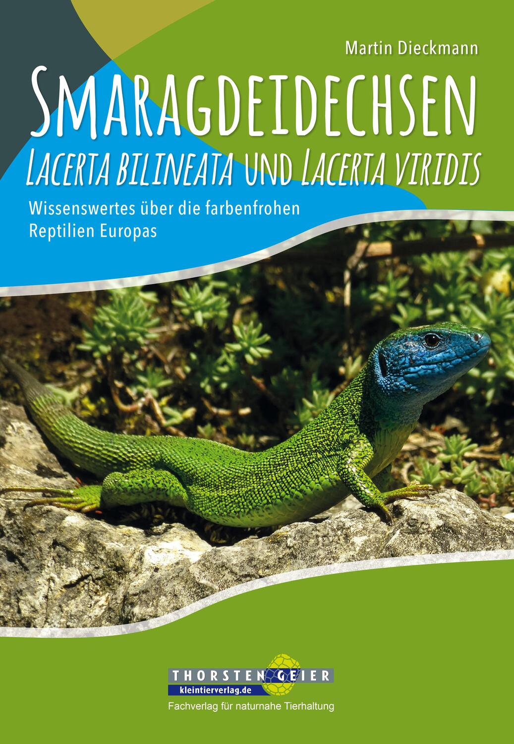 Cover: 9783944484174 | Smaragdeidechsen Lacerta bilineata und Lacerta viridis | Dieckmann