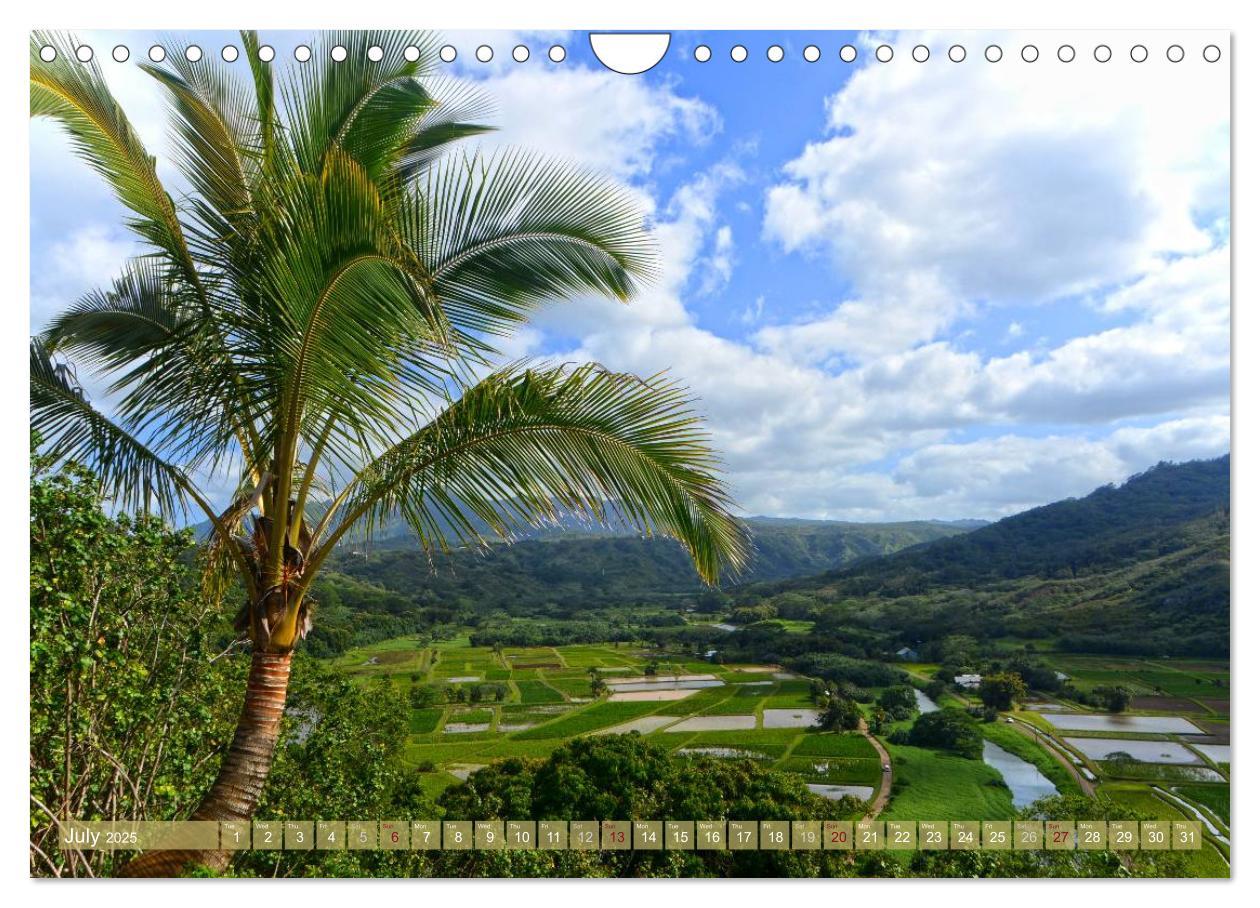 Bild: 9781325996612 | The Paradise of Hawaii (Wall Calendar 2025 DIN A4 landscape),...