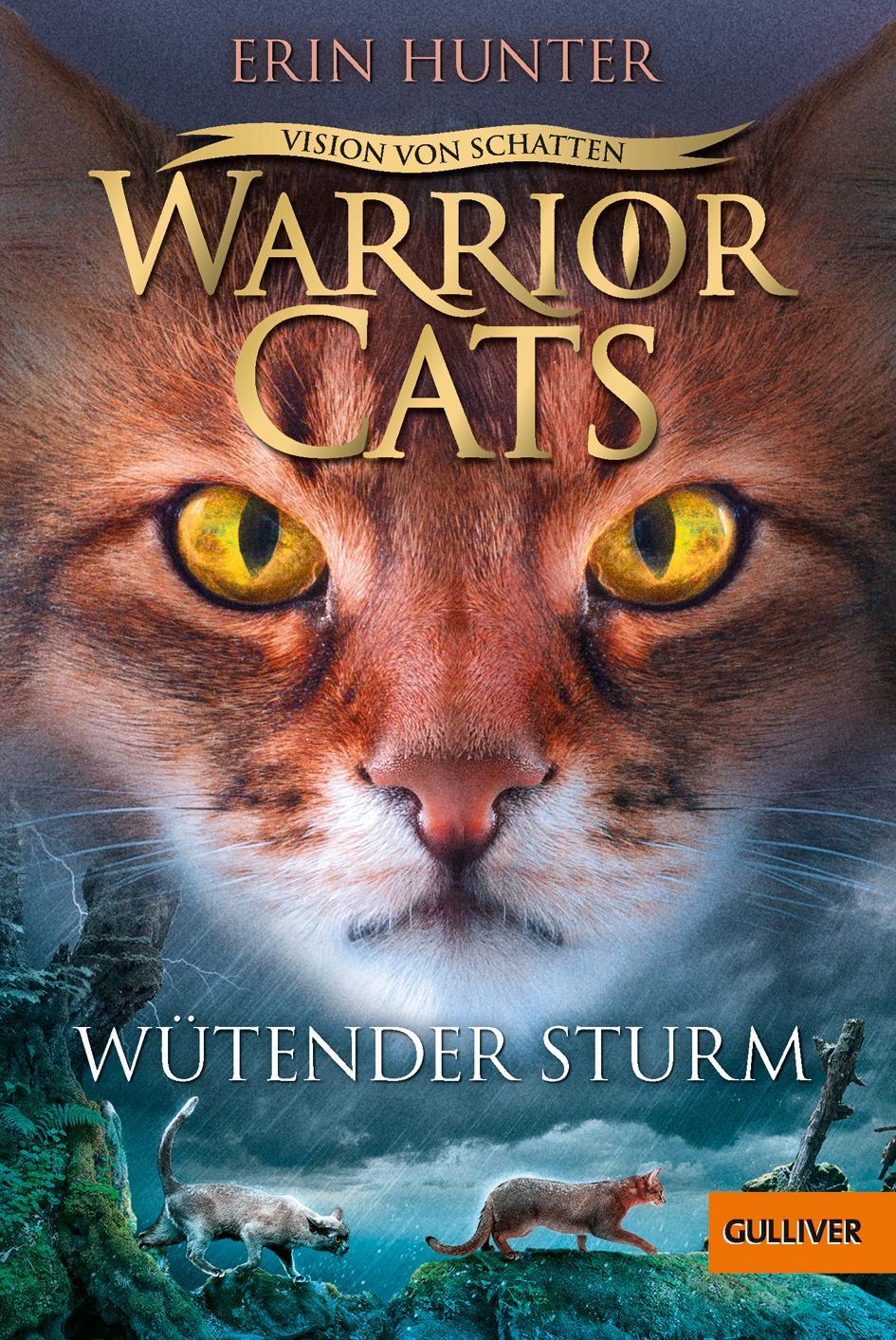 Cover: 9783407812667 | Warrior Cats - Vision von Schatten. Wütender Sturm | Erin Hunter