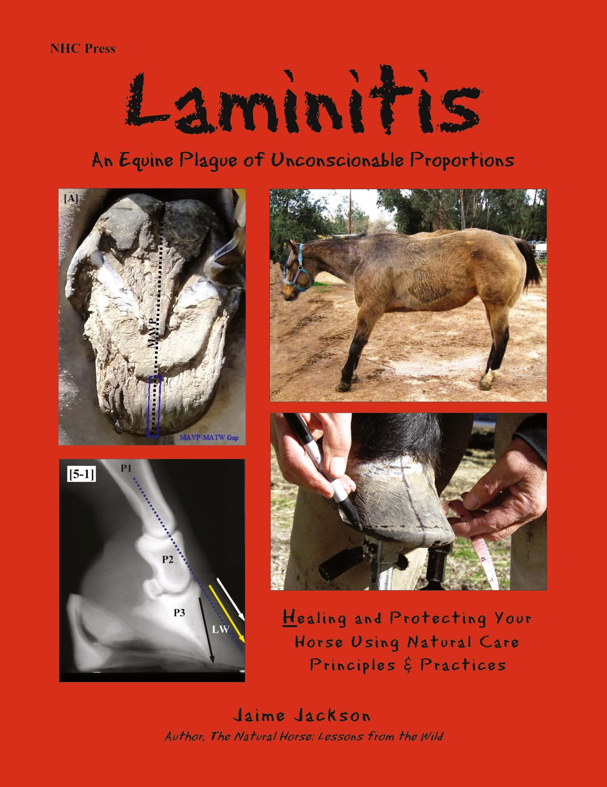 Cover: 9780984839933 | Laminitis | Jaime Jackson | Taschenbuch | Englisch | 2016