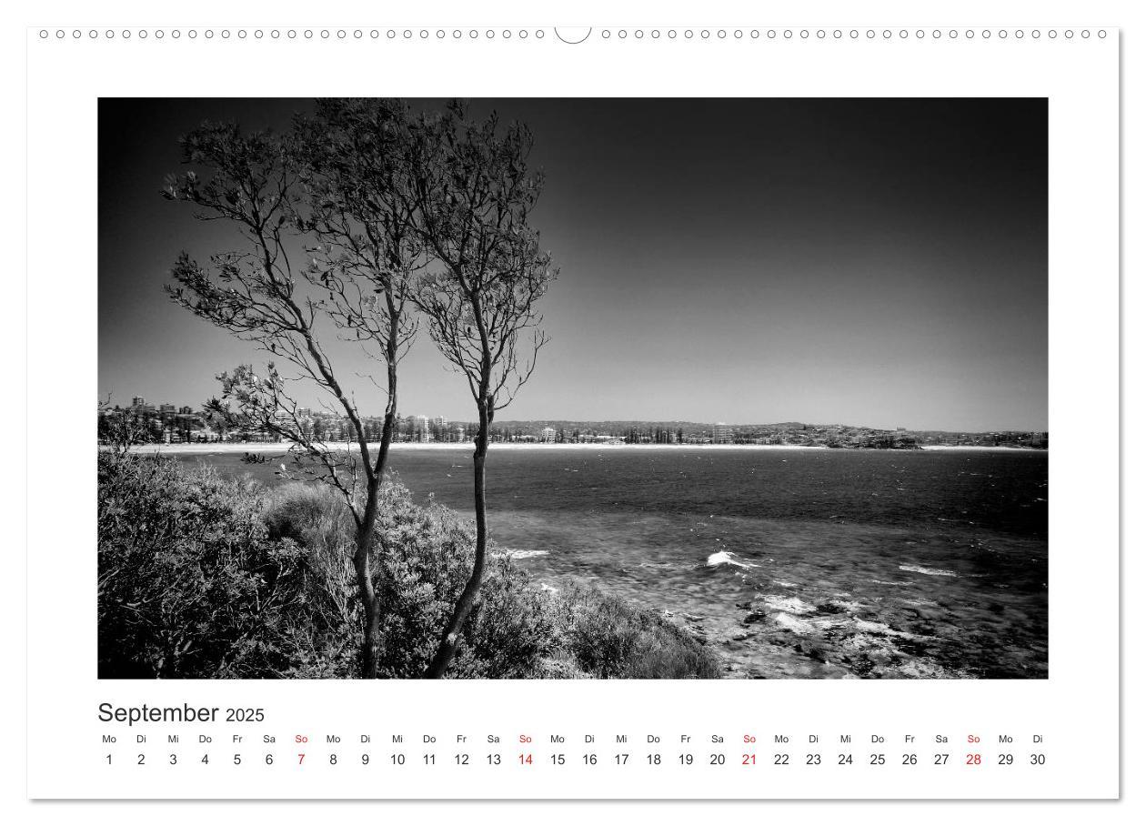 Bild: 9783457225905 | SYDNEY Monochrom (Wandkalender 2025 DIN A2 quer), CALVENDO...