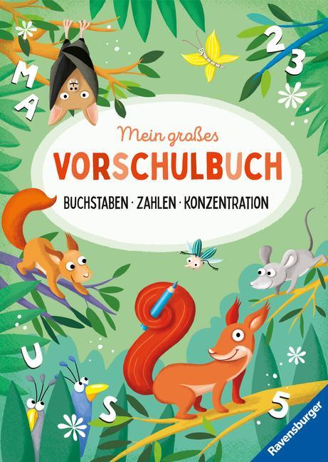 Cover: 9783473488919 | Mein großes Vorschulbuch: Buchstaben Zahlen Konzentration | Jebautzke