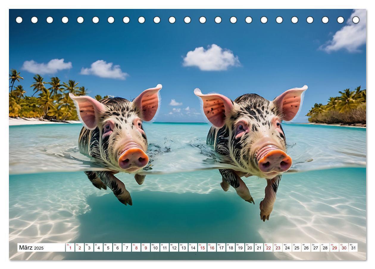 Bild: 9783383835292 | Schwimmende Schweine im Paradies (Tischkalender 2025 DIN A5 quer),...