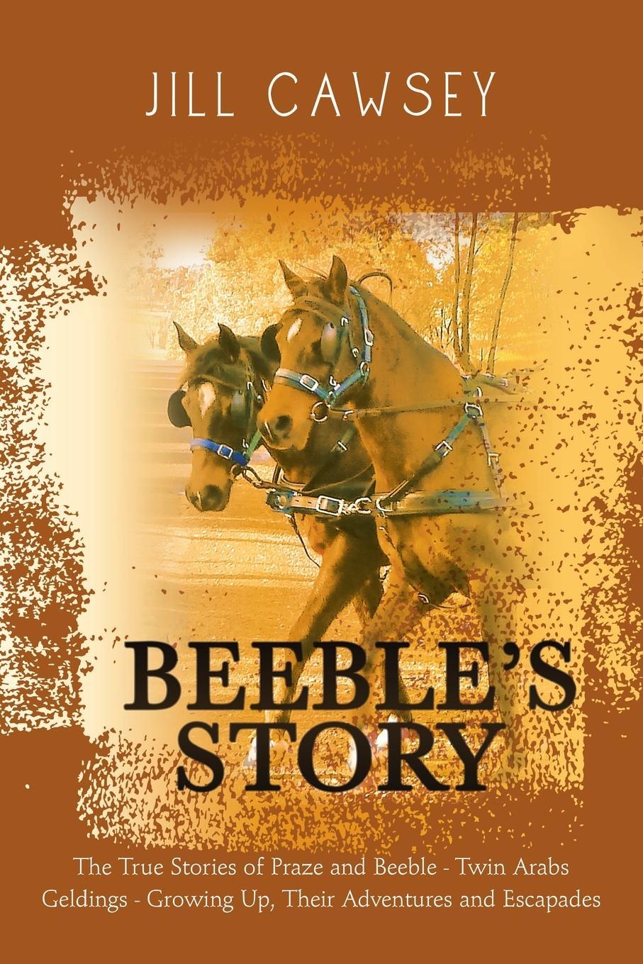 Cover: 9781796004632 | Beeble's Story | Jill Cawsey | Taschenbuch | Paperback | Englisch