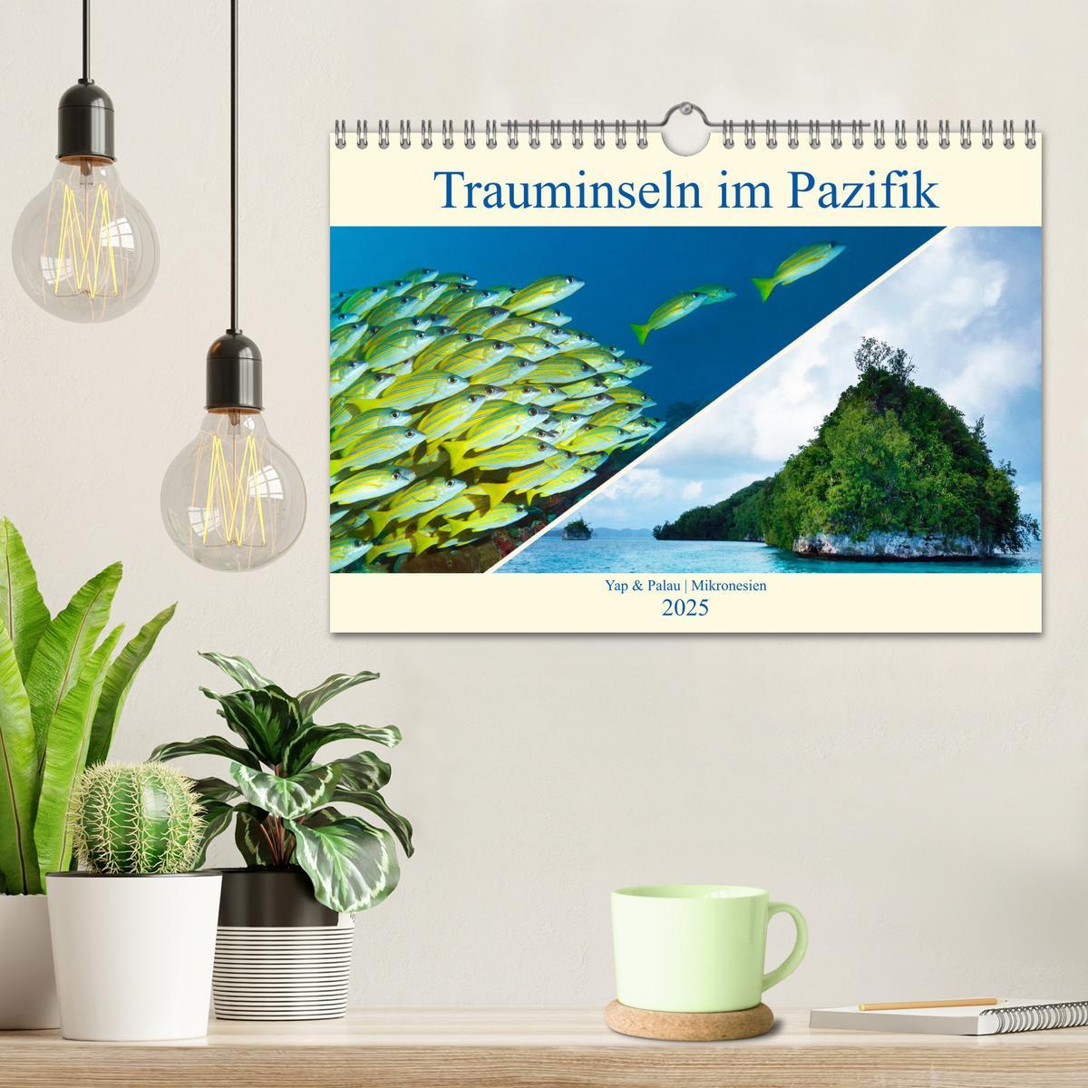 Bild: 9783435306985 | Mikronesien: Yap und Palau (Wandkalender 2025 DIN A4 quer),...