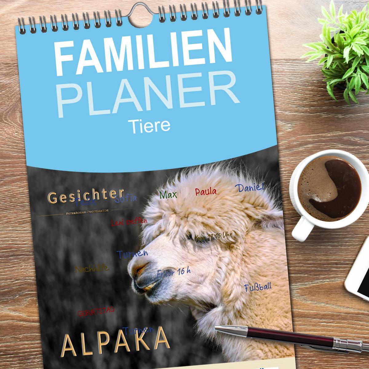 Bild: 9783457116159 | Familienplaner 2025 - Alpaka Gesichter mit 5 Spalten (Wandkalender,...