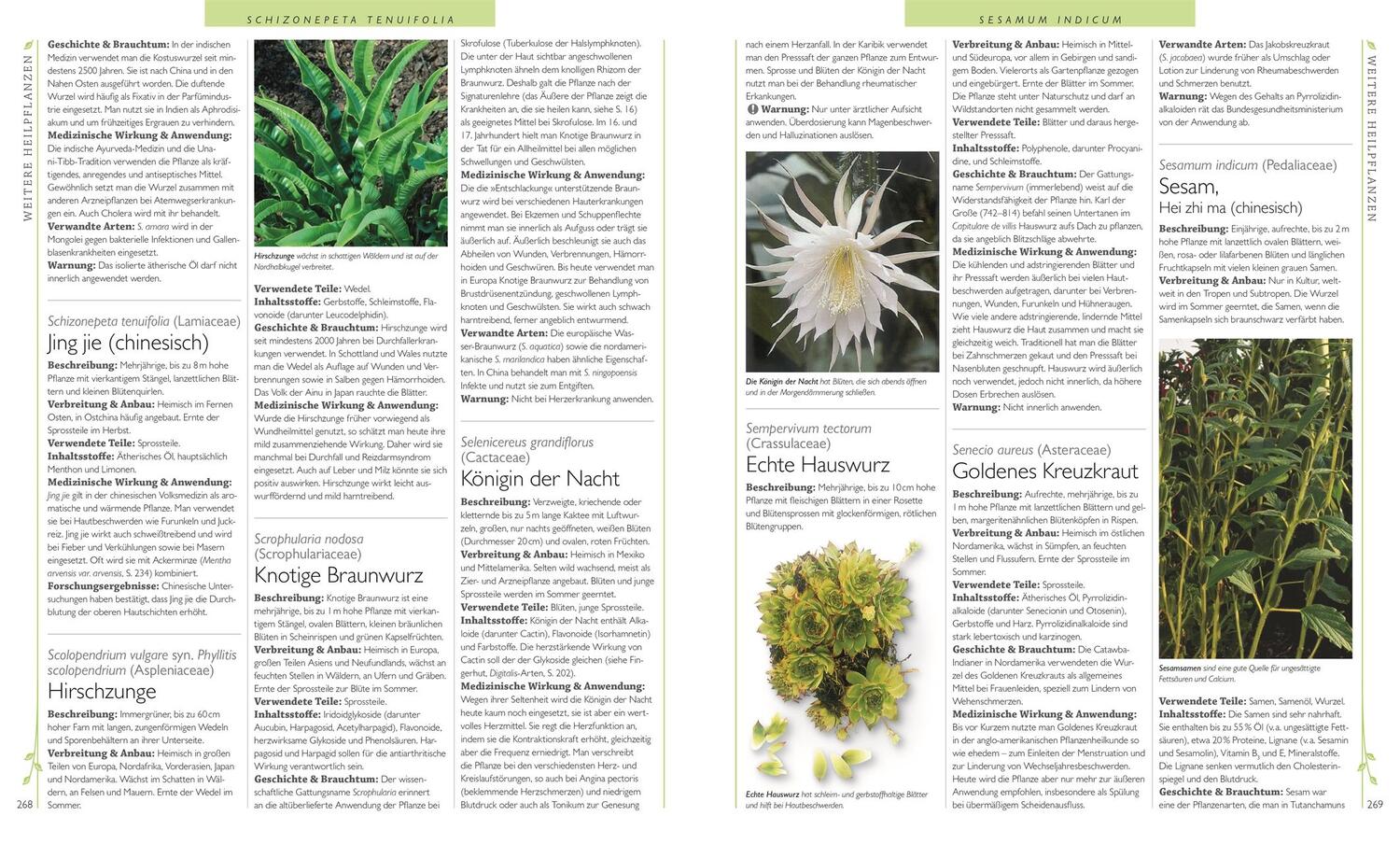 Bild: 9783831032327 | Das große Lexikon der Heilpflanzen | 550 Pflanzen und ihre Anwendungen