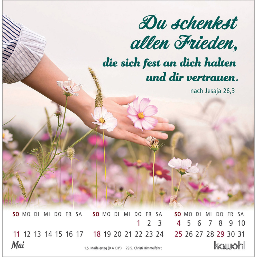 Bild: 9783754879856 | Ankommen &amp; leben 2025 | Postkartenkalender mit Bibelwort-Herzstücken