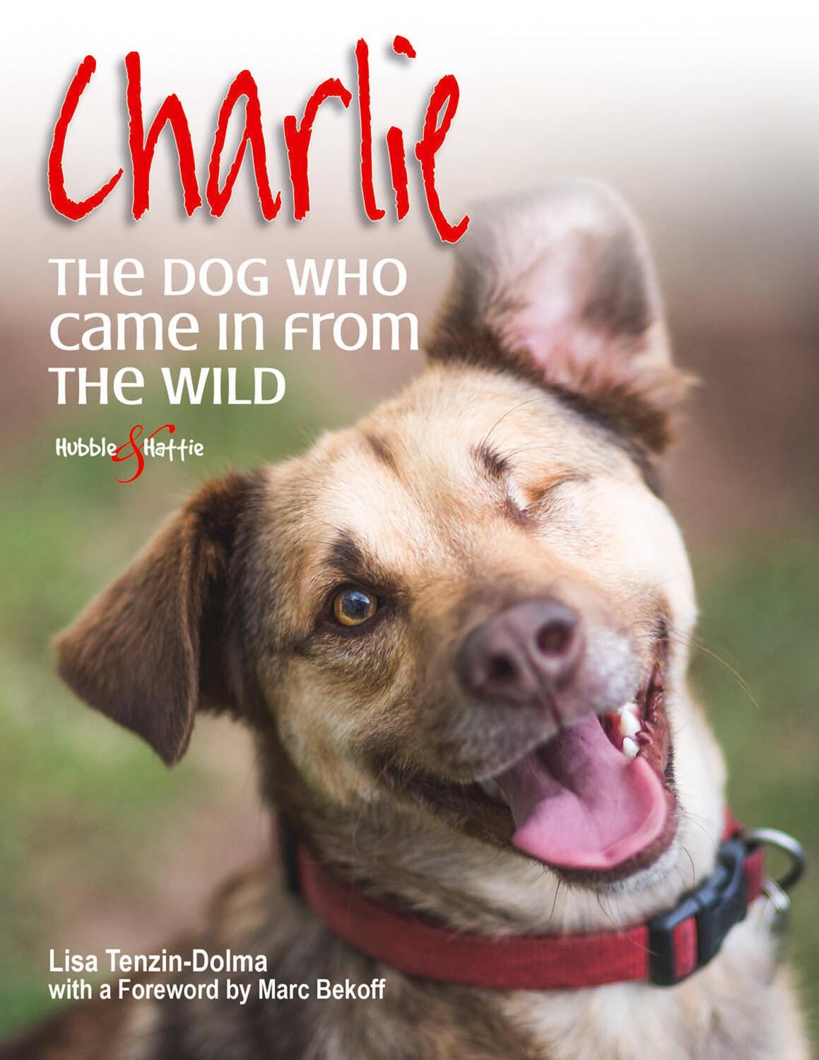 Cover: 9781845847845 | Charlie: the Dog Who Came in from the Wild | Lisa Tenzin-Dolma | Buch