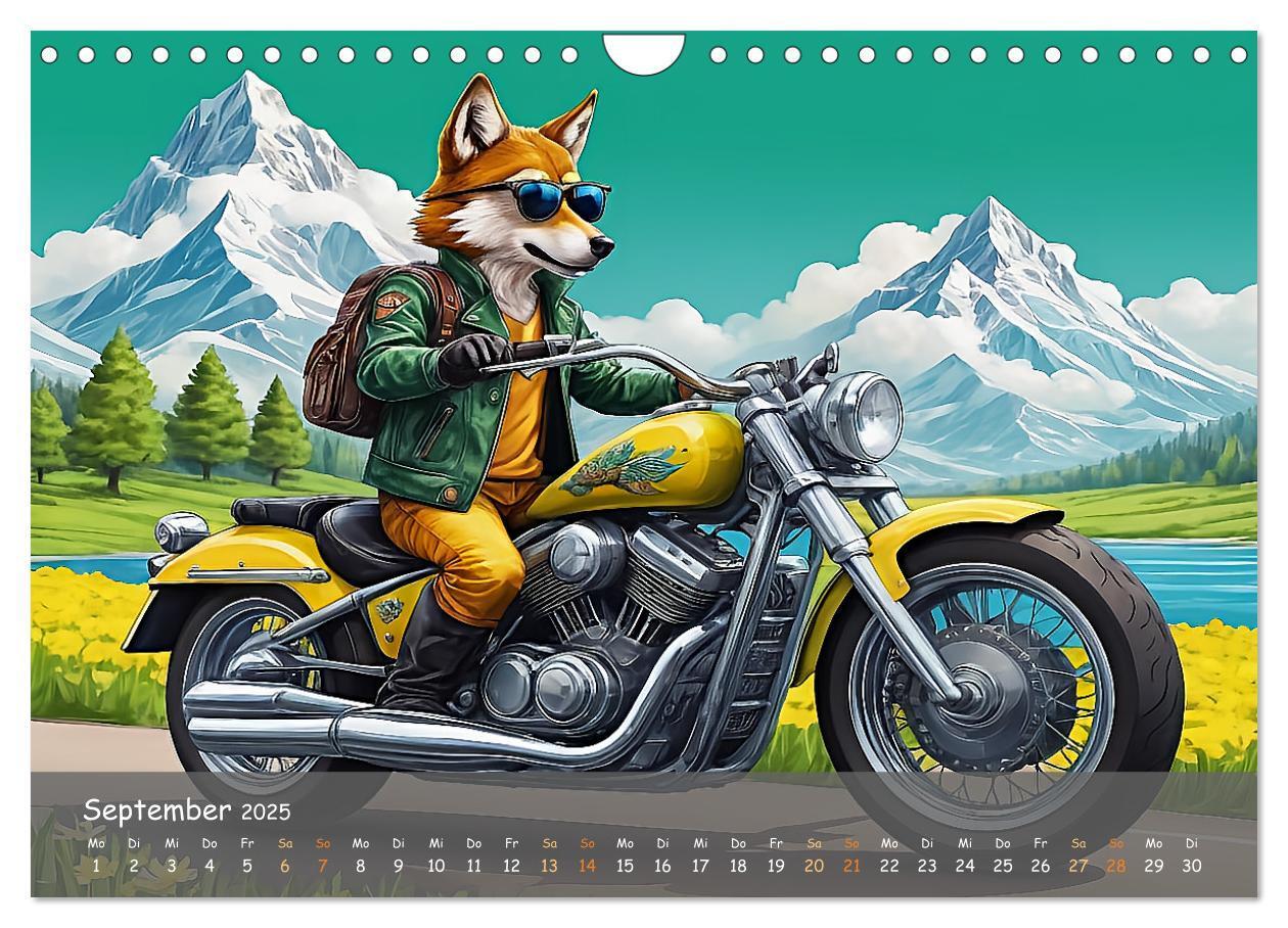 Bild: 9783457131404 | Tierische Motorradfahrer (Wandkalender 2025 DIN A4 quer), CALVENDO...