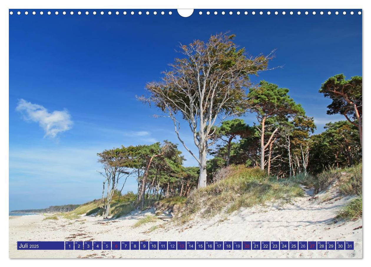 Bild: 9783435781973 | Weststrand Darß (Wandkalender 2025 DIN A3 quer), CALVENDO...