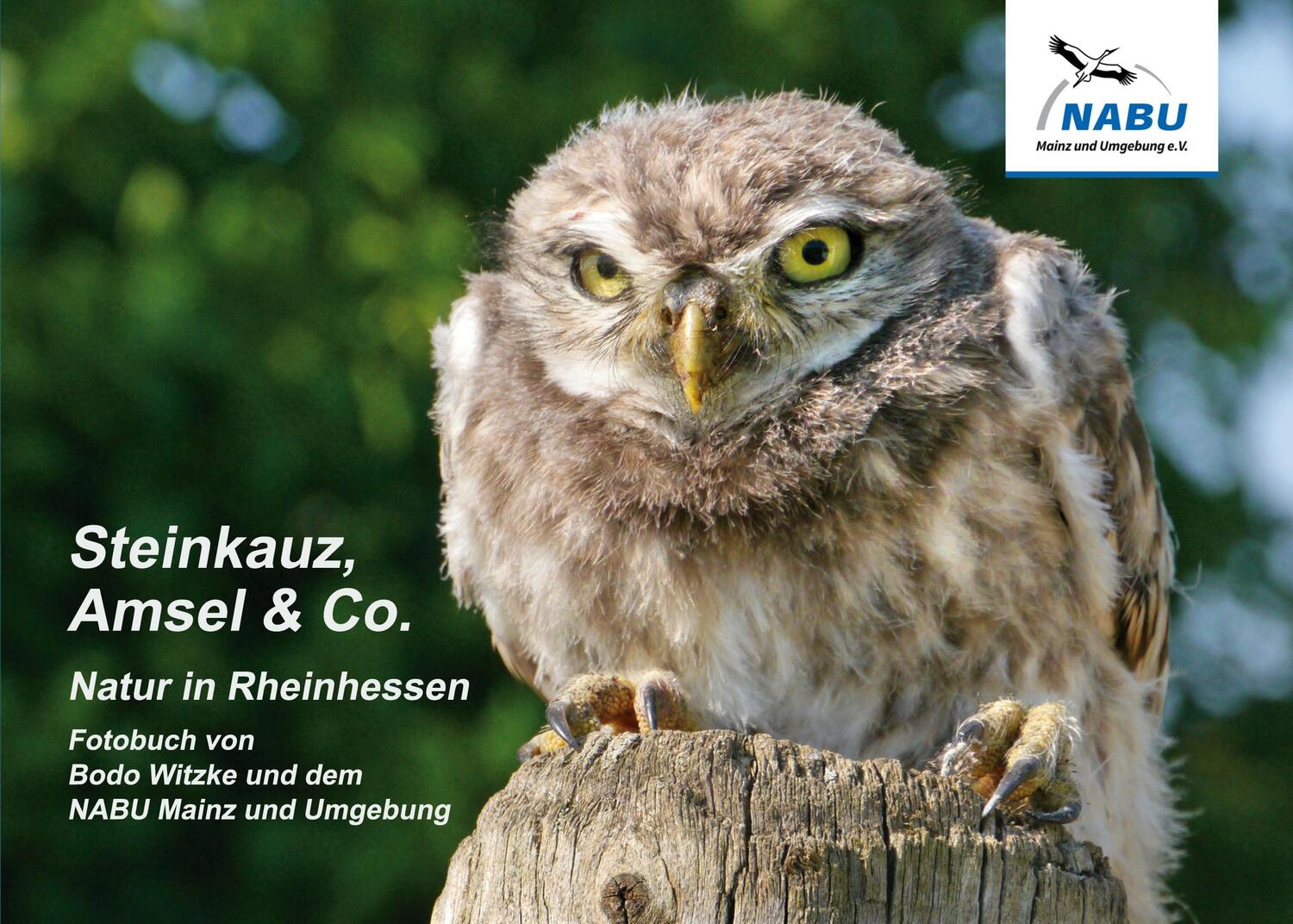 Cover: 9783753421681 | Steinkauz, Amsel & Co. | Natur in Rheinhessen | Bodo Witzke | Buch