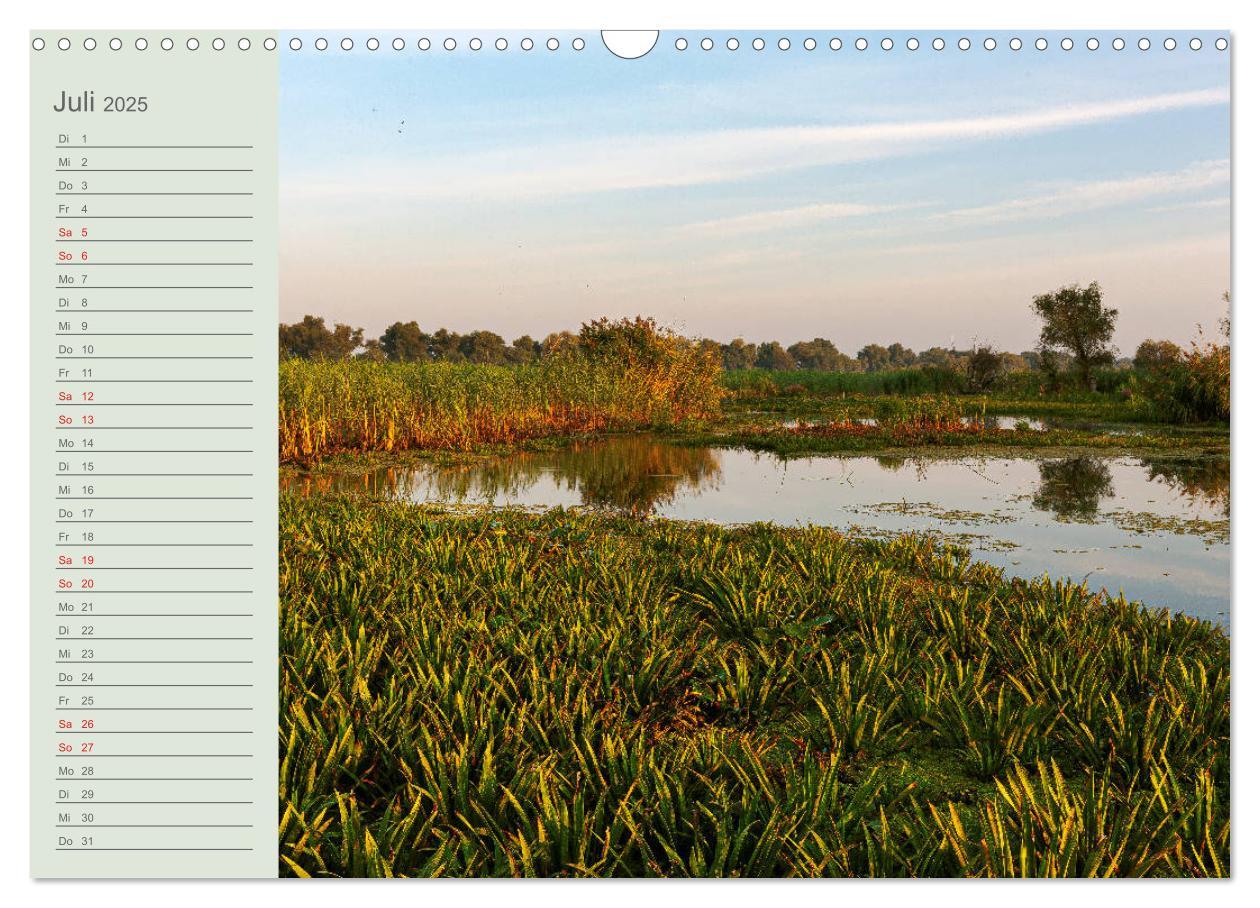 Bild: 9783435116911 | Donaudelta - Tierparadies am Schwarzen Meer (Wandkalender 2025 DIN...