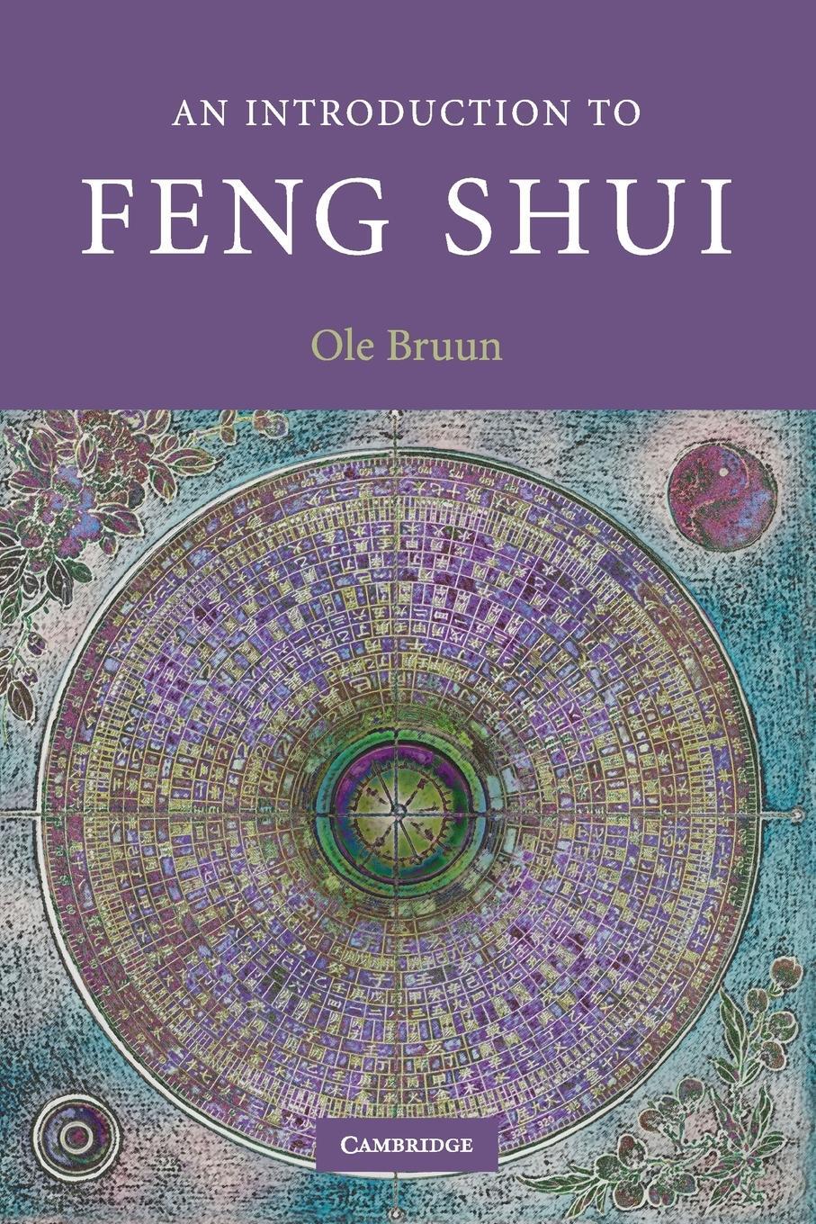 Cover: 9780521682176 | An Introduction to Feng Shui | Ole Bruun | Taschenbuch | Paperback