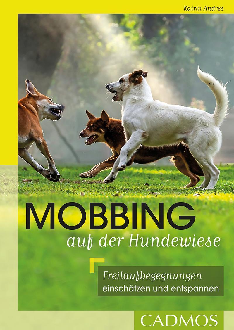 Cover: 9783840420719 | Mobbing auf der Hundewiese | Katrin Andres | Taschenbuch | Deutsch