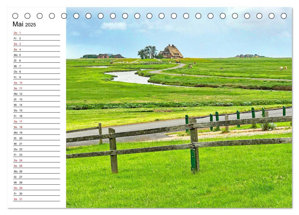 Bild: 9783435114870 | Hallig Hooge - Romantik Pur (Tischkalender 2025 DIN A5 quer),...