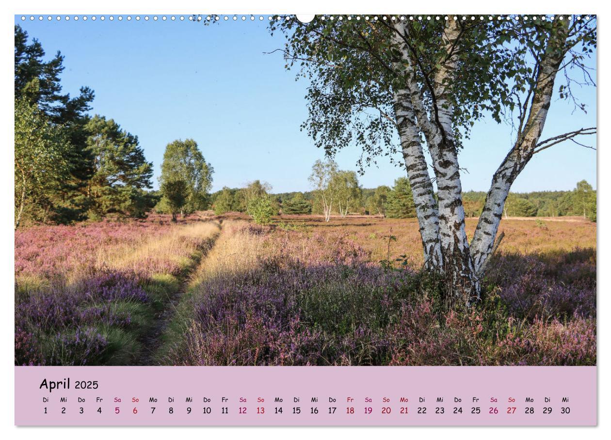 Bild: 9783435024810 | Lüneburger Heide Wege (hochwertiger Premium Wandkalender 2025 DIN...