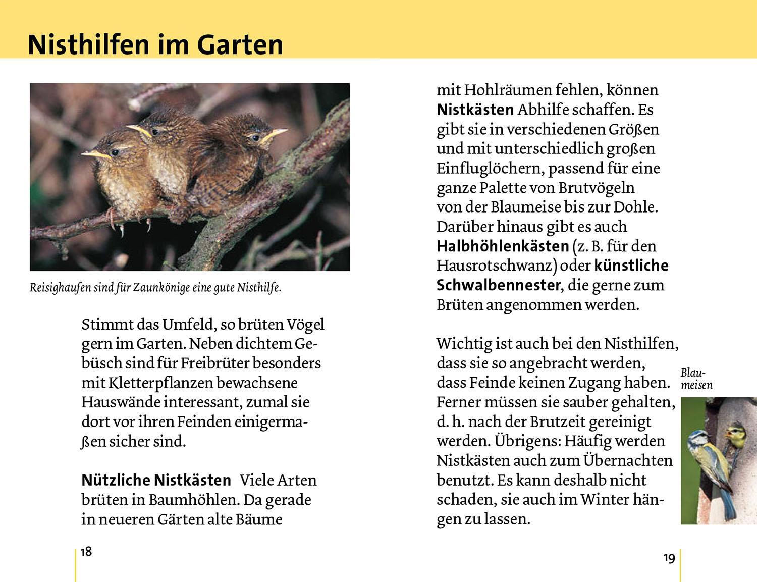 Bild: 9783440178997 | Alle Vögel sind schon da | Volker Dierschke | Taschenbuch | 128 S.