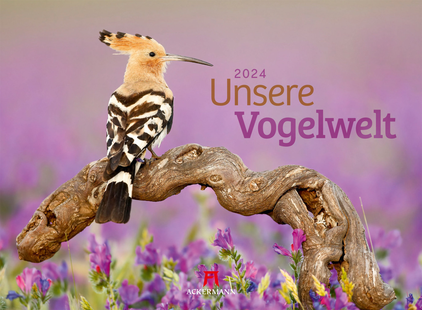 Cover: 9783838424835 | Unsere Vogelwelt Kalender 2024 | Ackermann Kunstverlag | Kalender