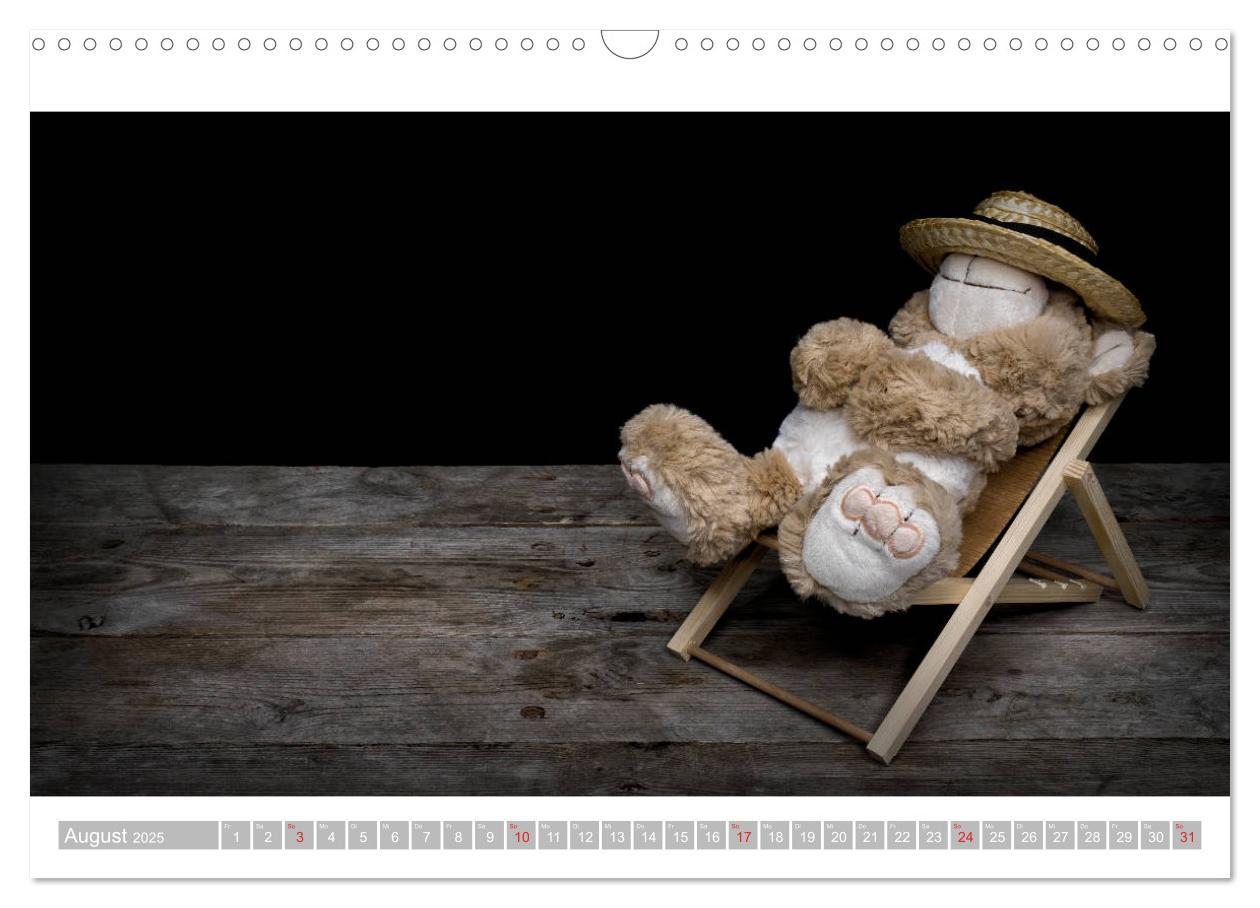 Bild: 9783435253432 | Eddy, der Teddy - 12 Bilder zum Schmunzeln (Wandkalender 2025 DIN...