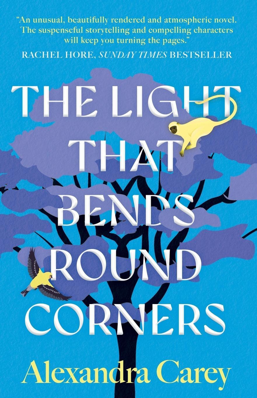 Cover: 9781915853639 | The Light That Bends Round Corners | Alexandra Carey | Taschenbuch