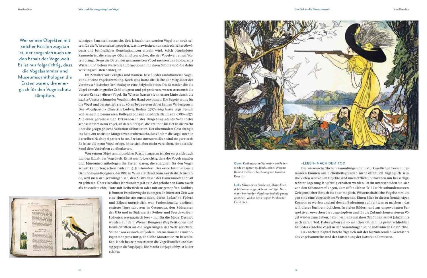 Bild: 9783957284105 | Vogelwelten | Expeditionen ins Museum | Klaus Nigge (u. a.) | Buch
