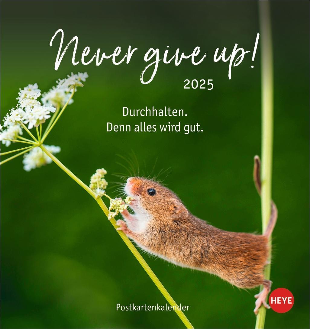 Cover: 9783756407132 | Never give up! Postkartenkalender 2025 | Heye | Kalender | 13 S.