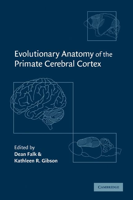 Cover: 9780521089951 | Evolutionary Anatomy of the Primate Cerebral Cortex | Falk (u. a.)