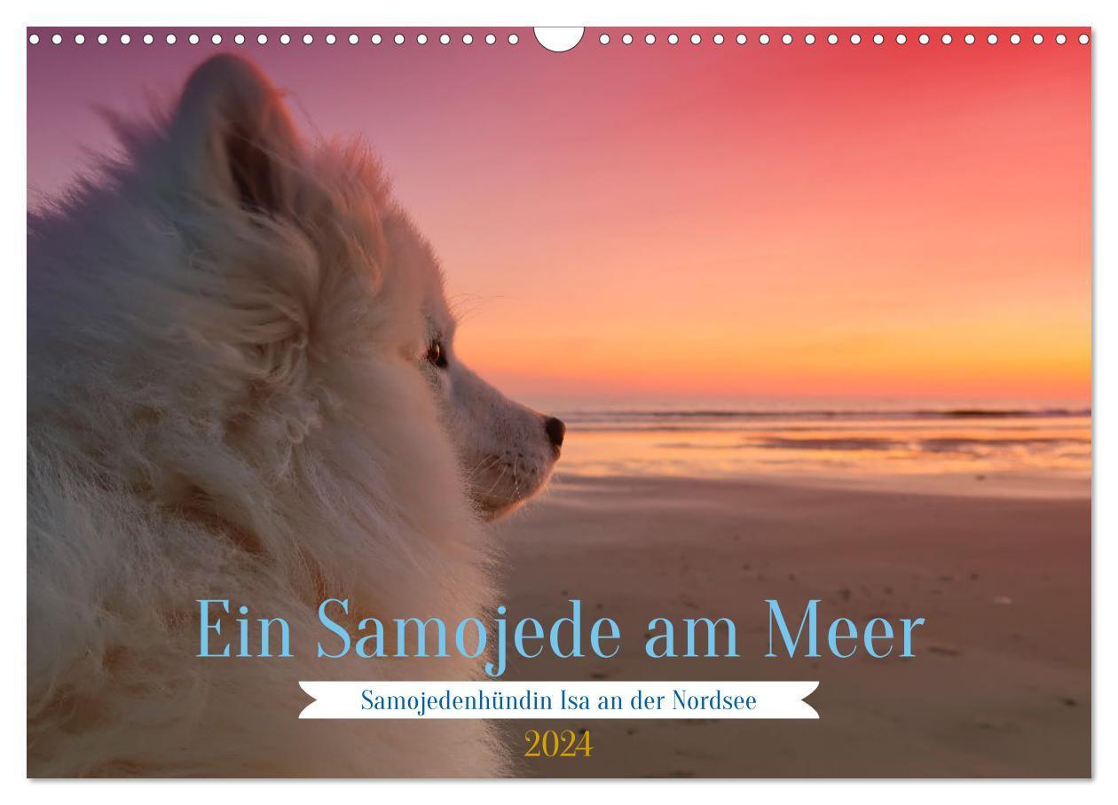 Cover: 9783383654138 | Ein Samojede am Meer (Wandkalender 2024 DIN A3 quer), CALVENDO...