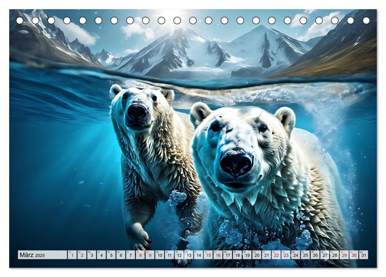 Bild: 9783383859762 | Im magischen Land der Eisbären (Tischkalender 2025 DIN A5 quer),...