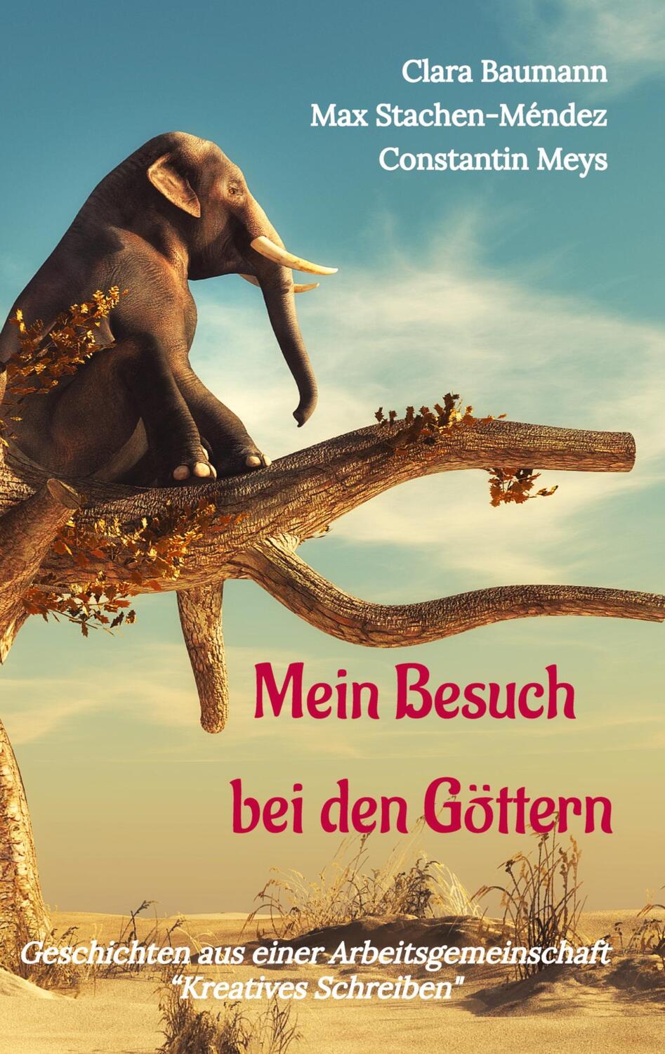 Cover: 9783347950207 | Mein Besuch bei den Göttern | Clara Baumann (u. a.) | Taschenbuch