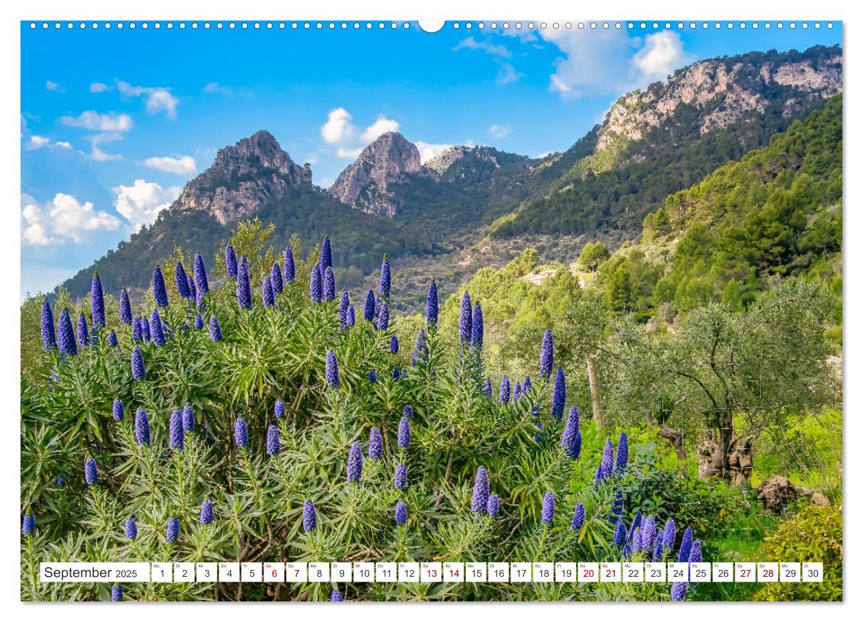 Bild: 9783383892325 | Mallorca - Traumhafte Insel der Balearen (Wandkalender 2025 DIN A2...