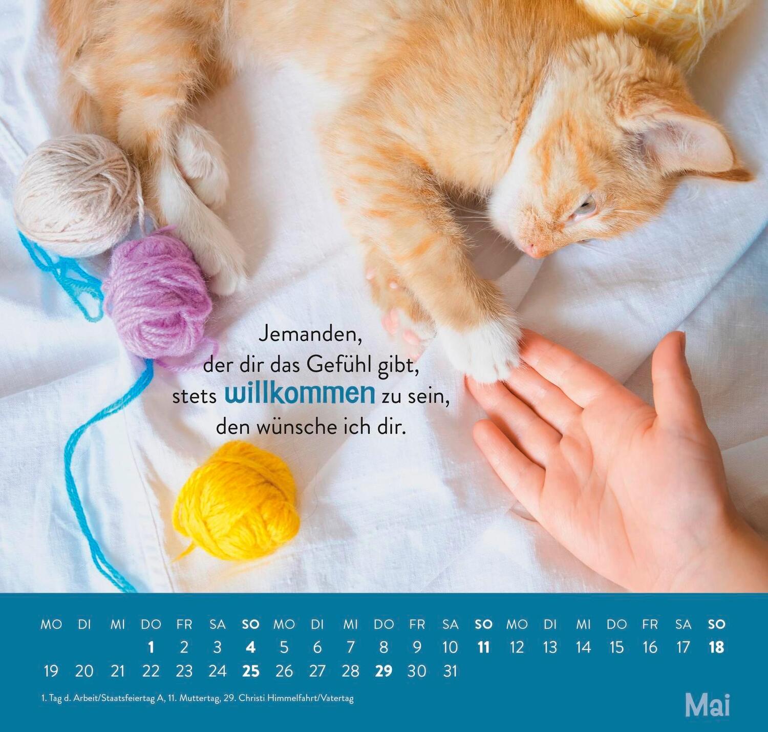 Bild: 4036442011898 | Wandkalender 2025: Einfach mal abhängen | Groh Verlag | Kalender