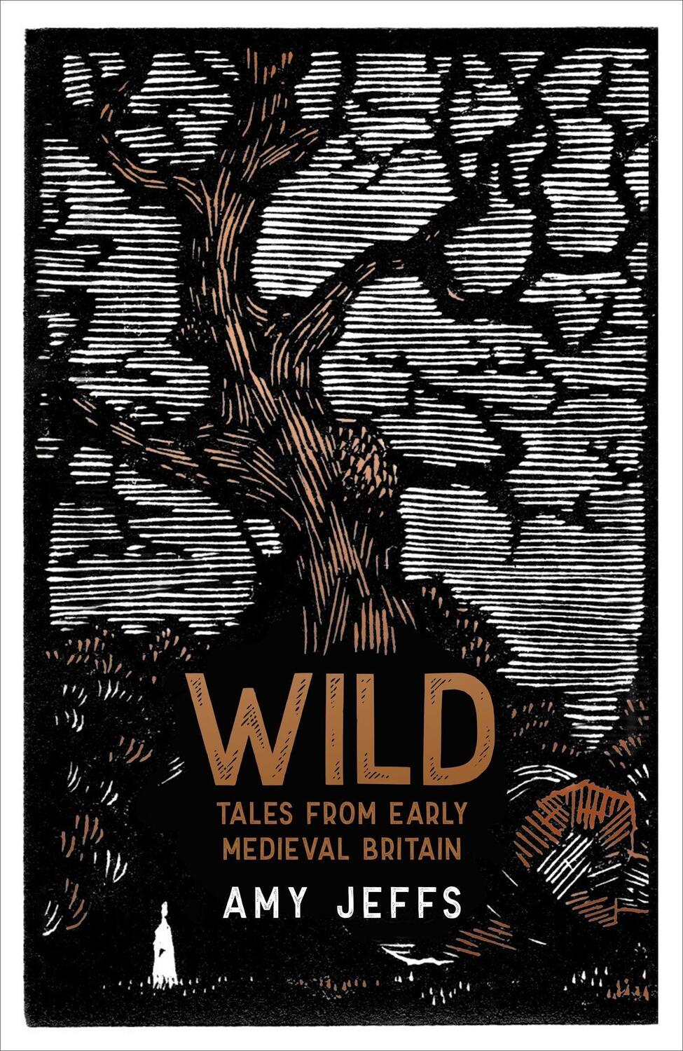 Cover: 9781529424232 | Wild | Tales from Early Medieval Britain | Amy Jeffs | Buch | Englisch