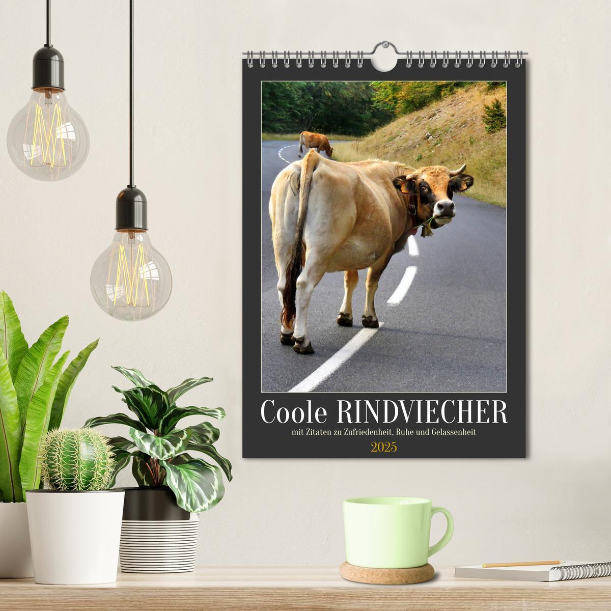 Bild: 9783435894338 | Coole Rindviecher (Wandkalender 2025 DIN A4 hoch), CALVENDO...