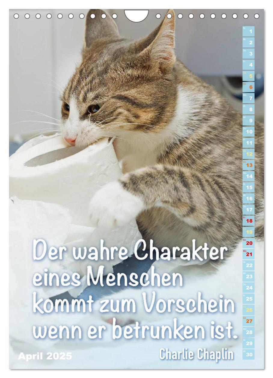 Bild: 9783435940547 | Der literarische Katerkalender (Wandkalender 2025 DIN A4 hoch),...